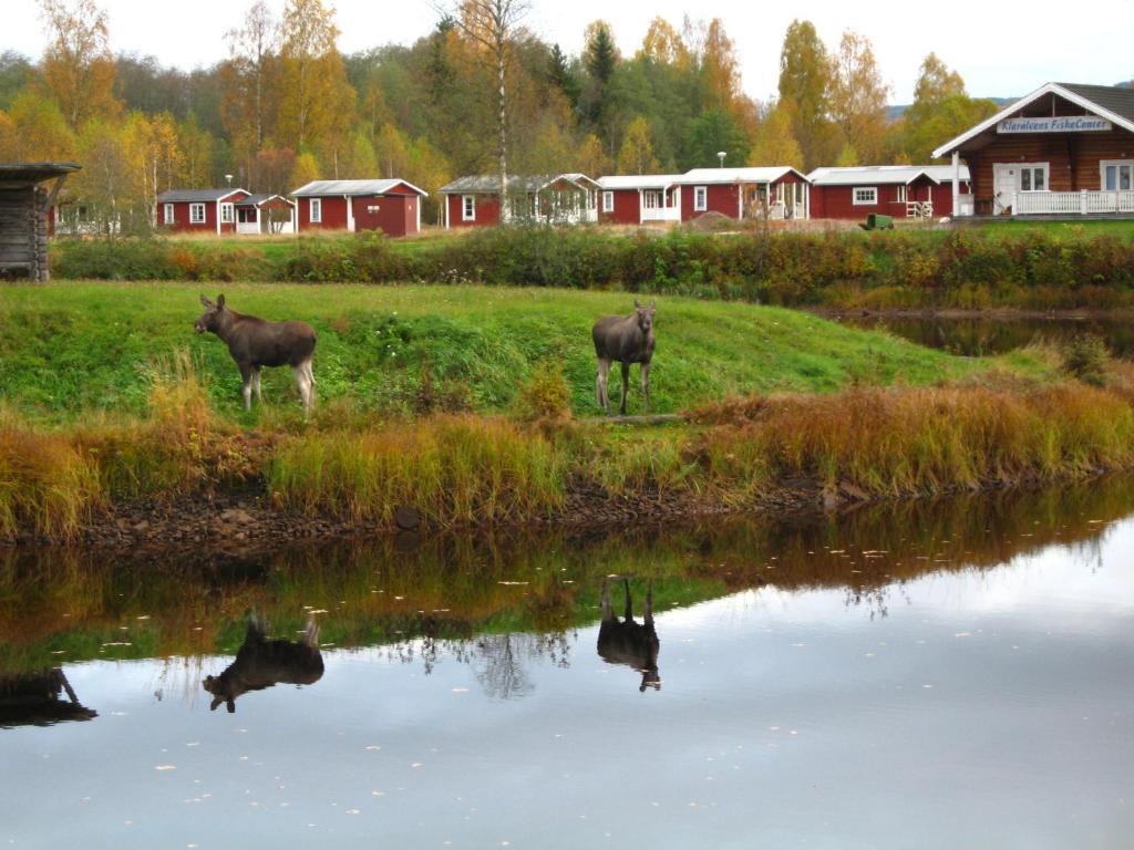 Klaraelvens Camping Stollet Room photo
